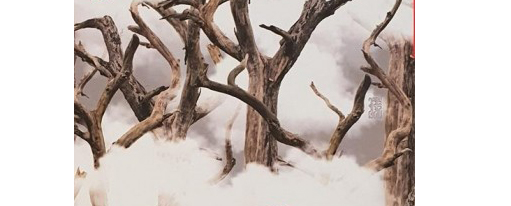 «رمه در مه» اثر علیرضا رجبعلی کاشانی