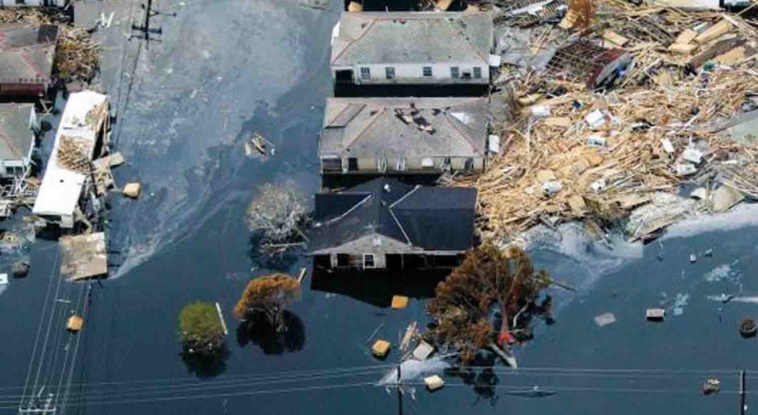 معرفی کتاب «زیتون» اثر دیو اگرس