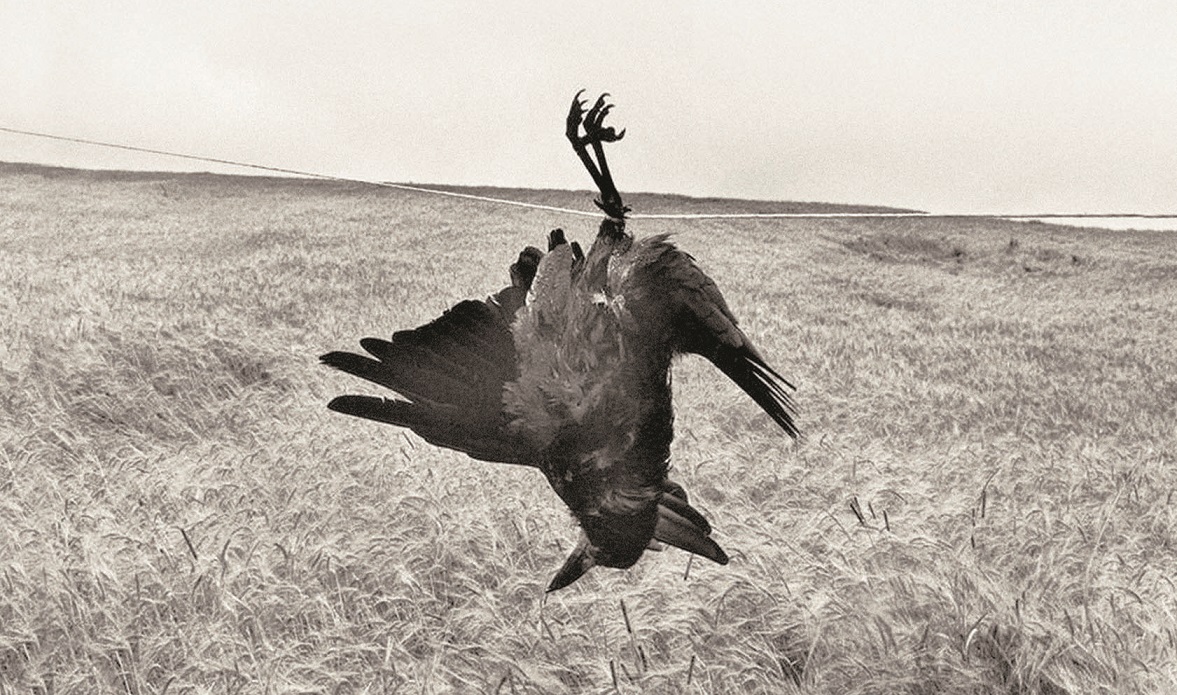 معرفی کتاب «کلود ولگرد» اثر ویکتور هوگو