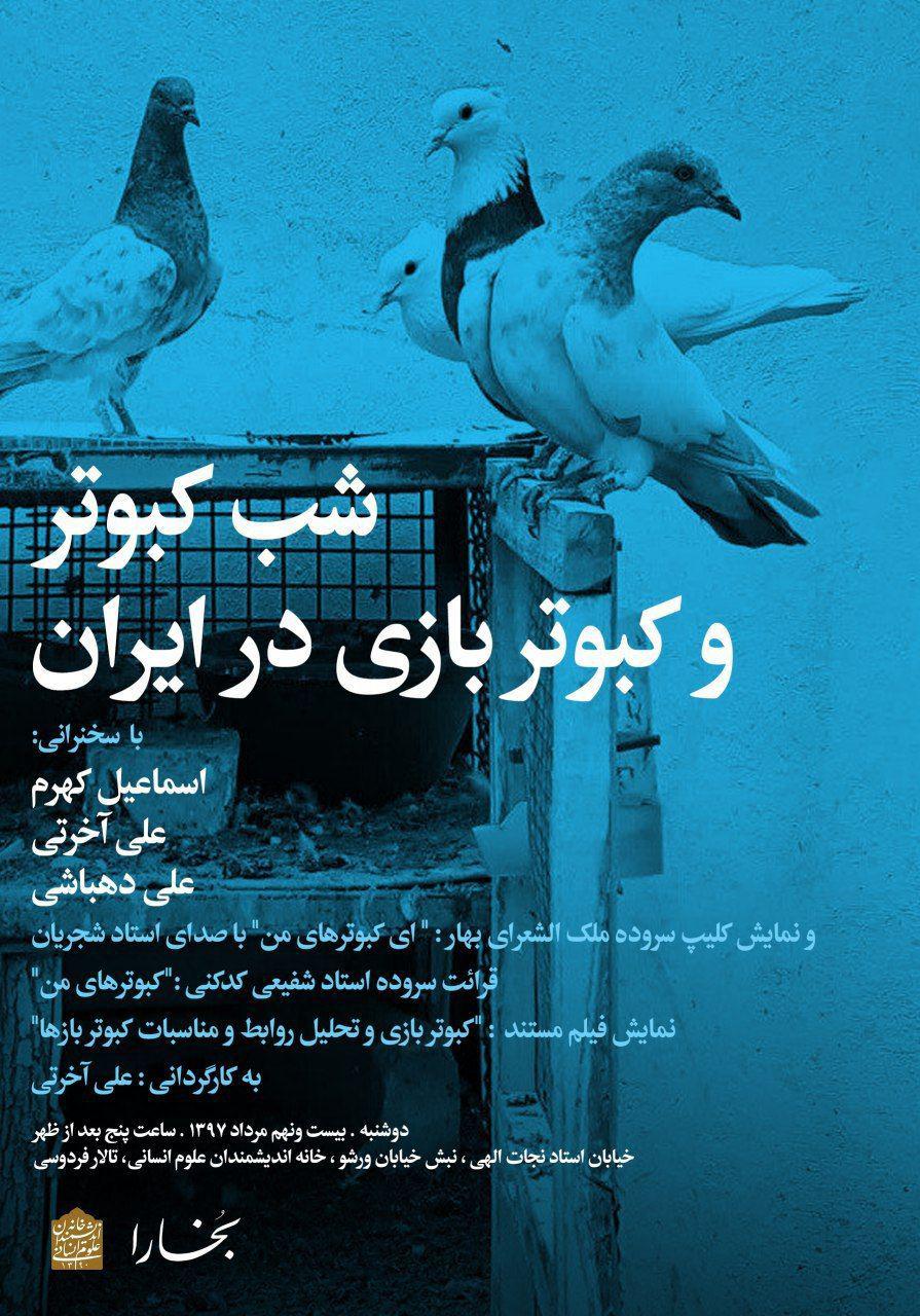 شب کبوتر و کبوتر بازی در ایران