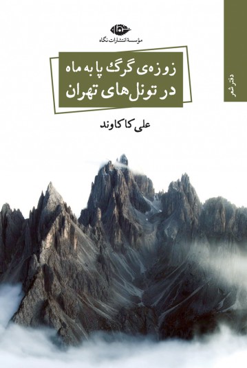 زوزه‌ی گرگ پا به ماه در تونل‌های تهران