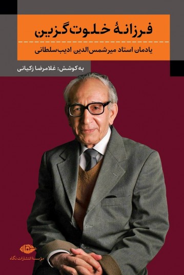 فرزانۀ خلوت گزین